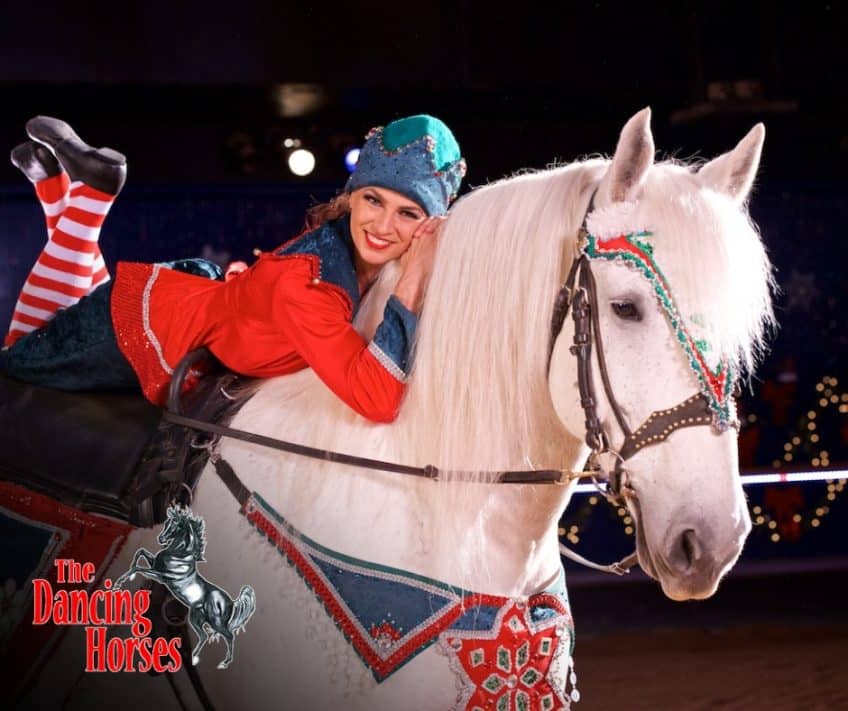 Dancing Horses Holiday Show The Dancing Horses Theatre