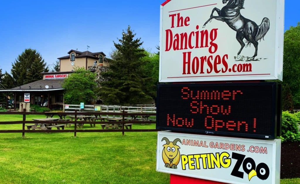 petting zoo near Lake Geneva, top rated petting zoo near Lake Geneva, Lake Geneva's favorite petting zoo