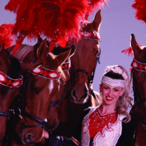 7pm Dancing Horses Show (3/21/2026)