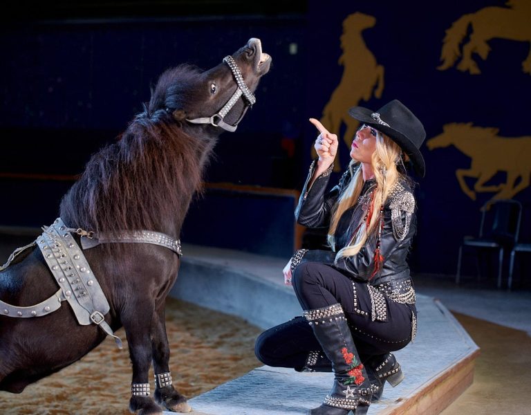 Best Things To Do in Lake Geneva, things to do in Lake Geneva, Lake geneva things to do