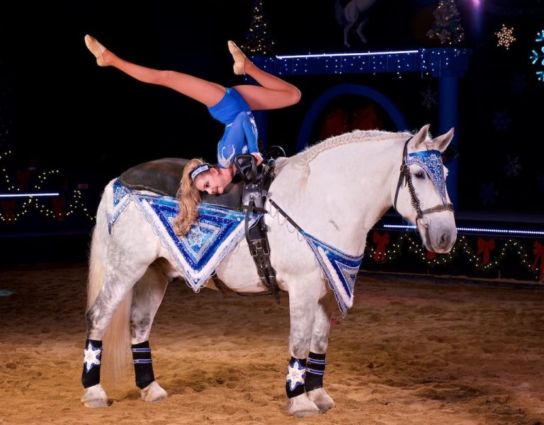 unique live entertainment in Lake Geneva, horse theater show Wisconsin, family entertainment Lake Geneva